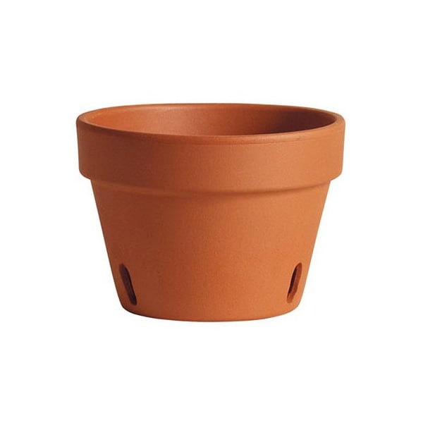 Deroma 6 Clay Orchid Pot M8990PZ - main